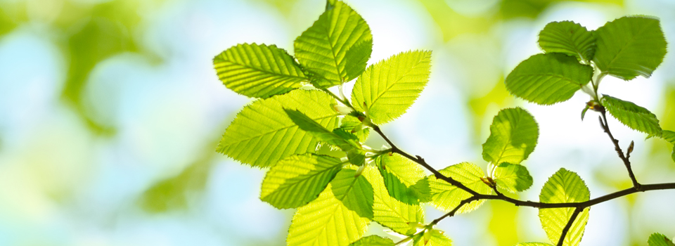 養護老人ホーム 美里&盲養護老人ホーム 光の岬