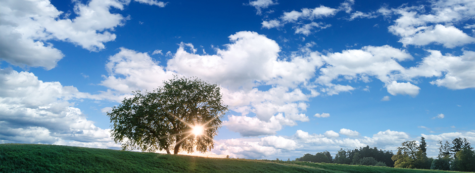 養護老人ホーム 美里&盲養護老人ホーム 光の岬